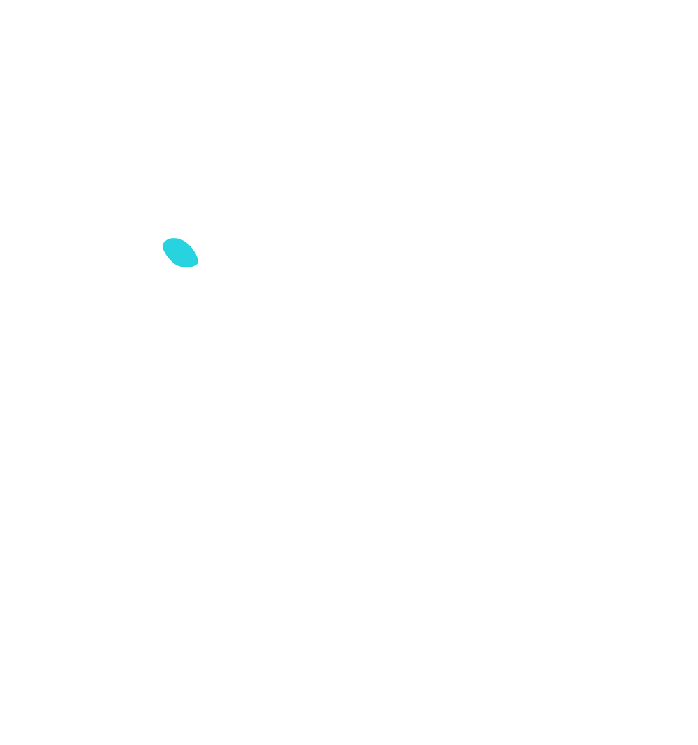 Wilmer Wallenstam racing Sweden Logo